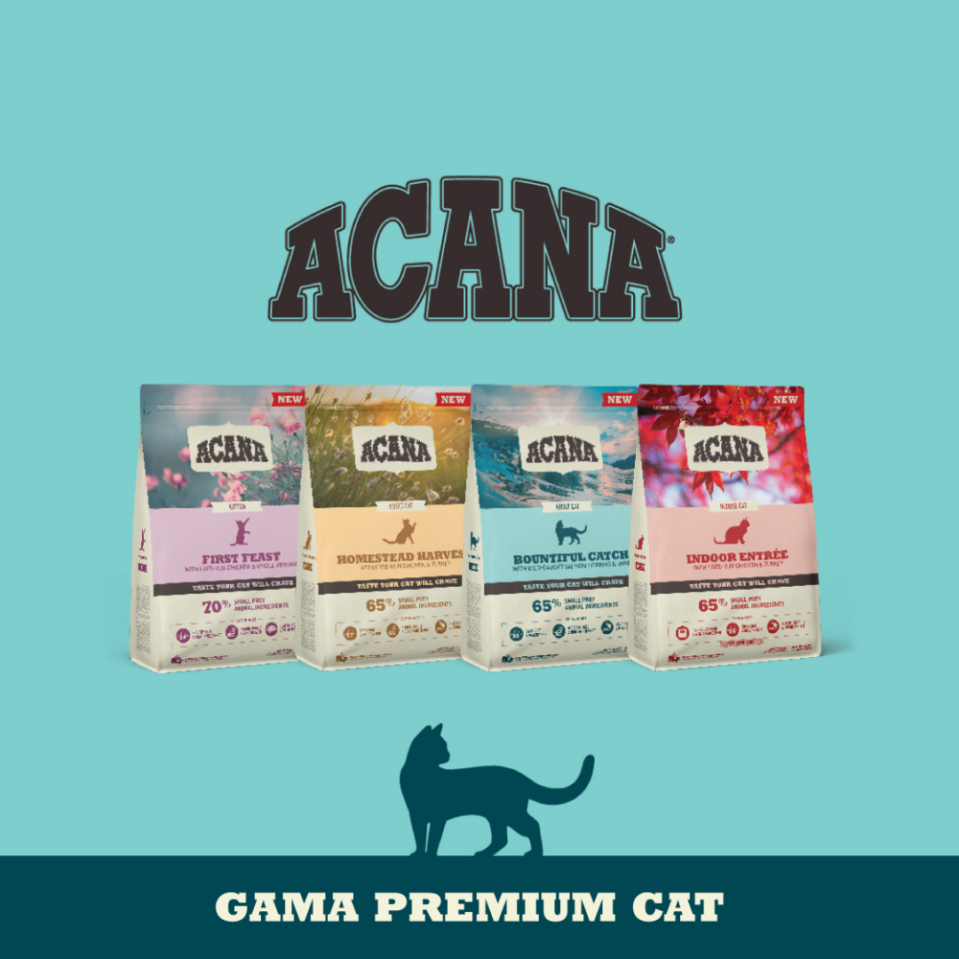 Acana Premium Cat 