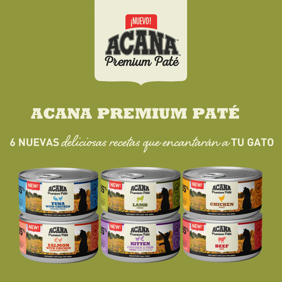 Acana Premium Paté 